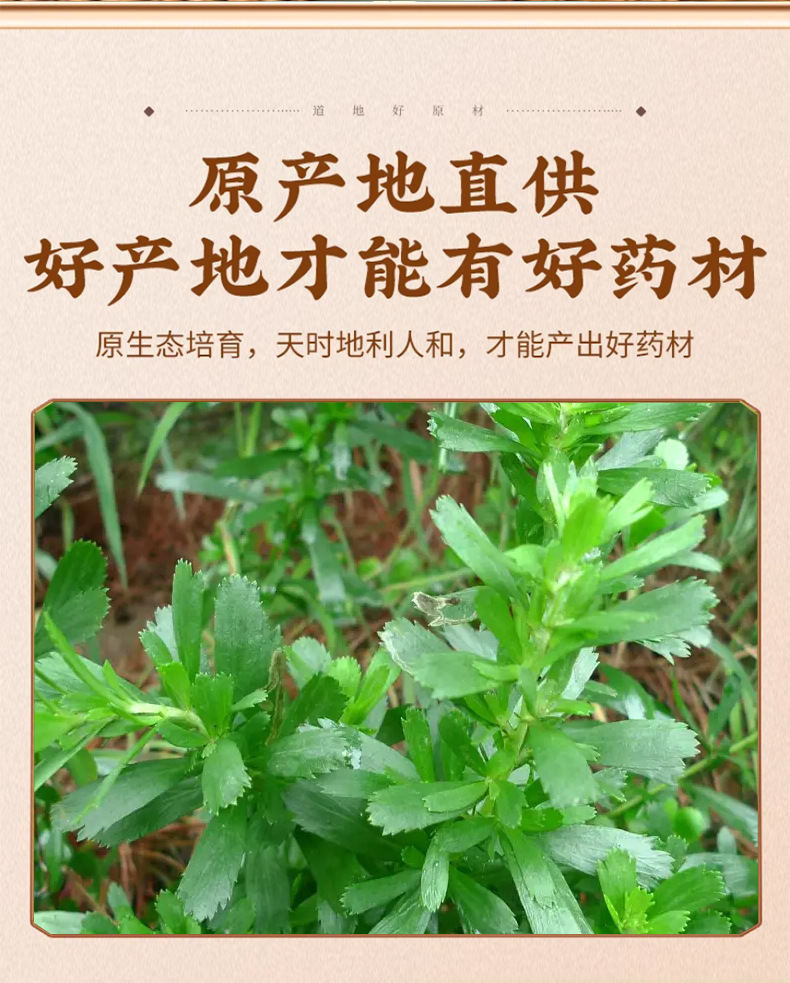 Dried Muhao Artemisia Herb 500g Natural Sun Dried Traditional Chinese Herbal Tea key features