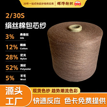 源头厂家抗起球包芯纱秋冬纱线羊毛绢丝棉抗菌艾草高弹色纺包芯纱
