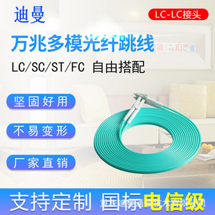 Customized 10g Multi-Mode Optical Fiber Jumper Om3 Multi-Mode Dual-Core Jumper Pigtail Lc/Sc/St/Fc Connector 2m