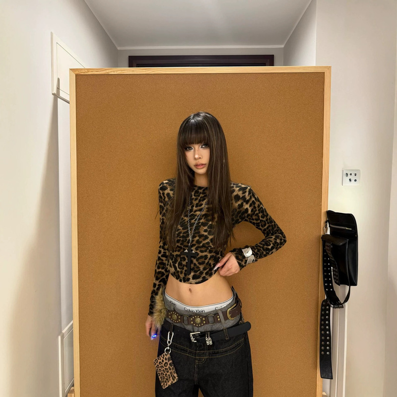 European and American cross-border 2026 spring-summer elegant women's transparent mesh leopard print front-tie long-sleeve top European and American cross-border 2026 spring-summer elegant women's transparent mesh leopard print front-tie long-sleeve top