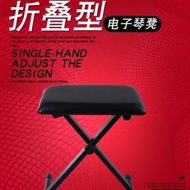 弹拨类乐器;乐器配件