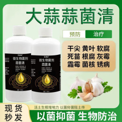 蒜菌清原液生根养根粗壮补充营养水溶肥料大蒜种植微生物菌肥批发
