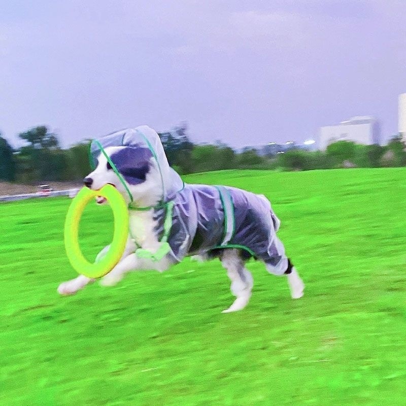 53cac8ab-2953-4453-9f32-d50fa3d1323d.jpe