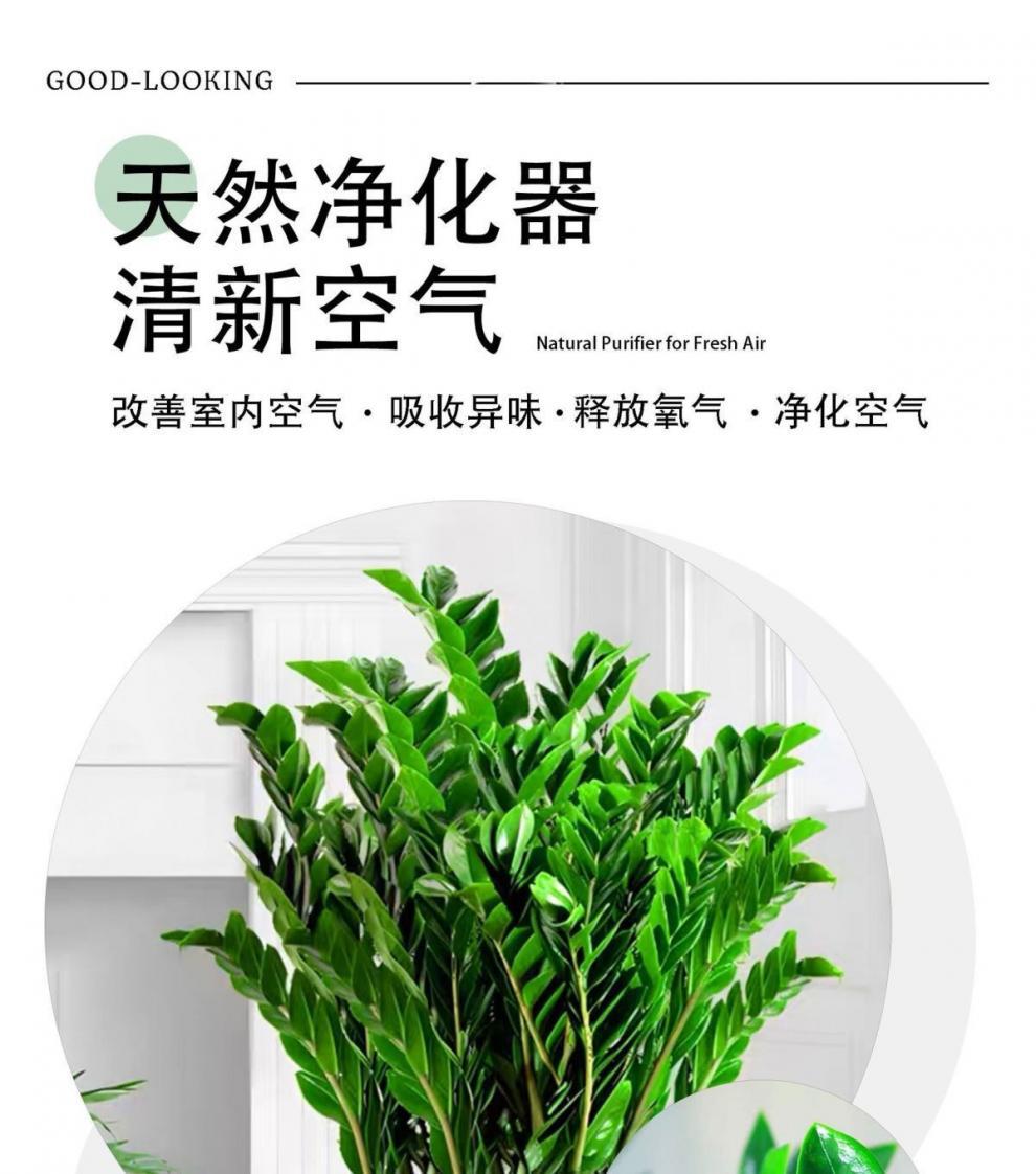 f1763058-640c-4fd0-81f2-1ed446731a70.jpe