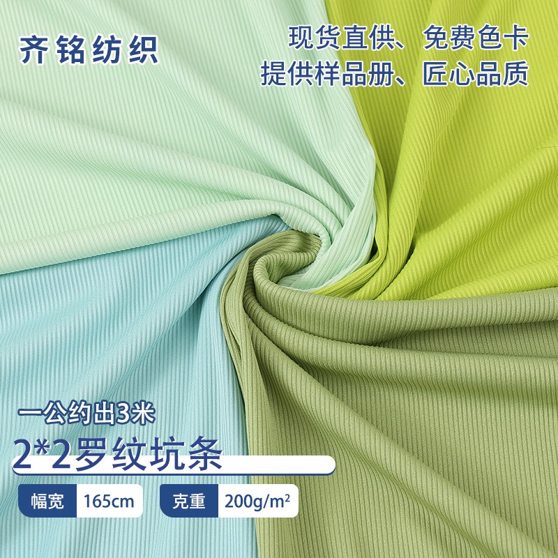 2*2小坑条春秋涤氨罗纹布料200g柔软透气针织打底衫坑条面料