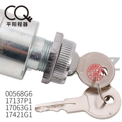 Ignition Switch Standard 2-Pin Ignition switch