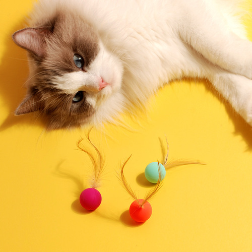 Cross-border cat and dog toy bouncy ball bouncing ball interactive amusing cat to relieve boredom colorful high elastic pet toy