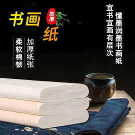 白色书画纸国画四尺纸批发毛笔练习半生半熟云母工笔画加厚宣纸