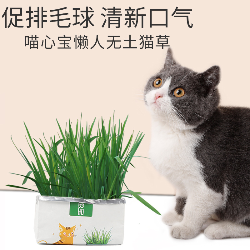 Soilless cat grass spot lazy cat hair ball snacks hydroponic seeds in addition to hair ball cat snacks food wholesale