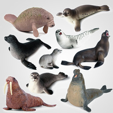 跨境认知仿真哺乳海洋动物模型实心海豹海狮海兔造景摆件静态手办