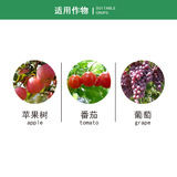 Соединенные Штаты Фамеи, развевающиеся бактерии гипер -бактерии, томатная серая плесень эппил -пуротика пентауэй -пестицид -бактербиногенные 15 мл