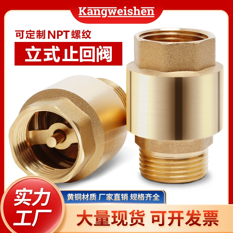 Индивидуальный вертикальный обратный клапан кухонный пружинный обратный клапан утолщенный латунный клапан обратный клапан с защитой от обратного потока бытовой