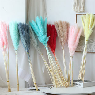 Yunnan dried flower Amazon cross-border dried flower bouquet reed grass pampas small dust dried flower small reed wholesale
