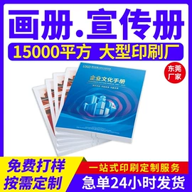 宣传画册;宣传单/海报;纸类印刷制品