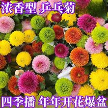 ƹ�Ҿջ��N��С�r���ױ����ļ��_���׷N���҃��⻨�����Ի��N����