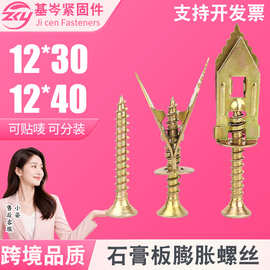 跨境品质打入式石膏板膨胀壁虎快速锚栓螺丝石膏板埃特板窗帘