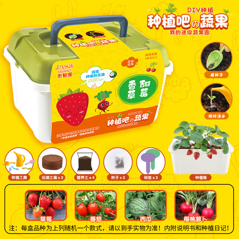 La Ciencia y la educación de los niños kindergarten tarea manual DIY plantación planta verde en maceta flor semilla regalo traje caja ciega