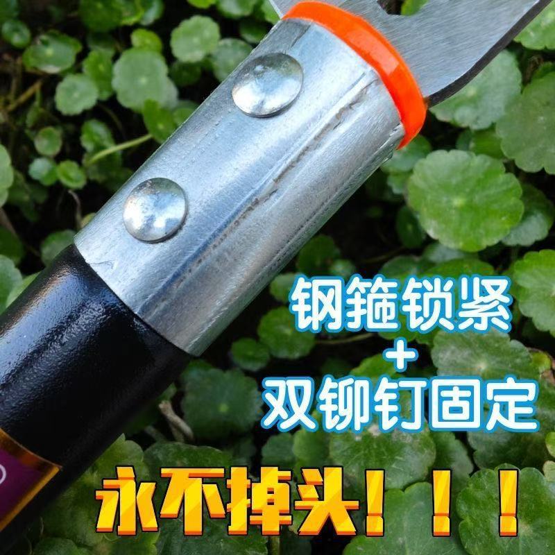 微信图片_202505260859521.jpg