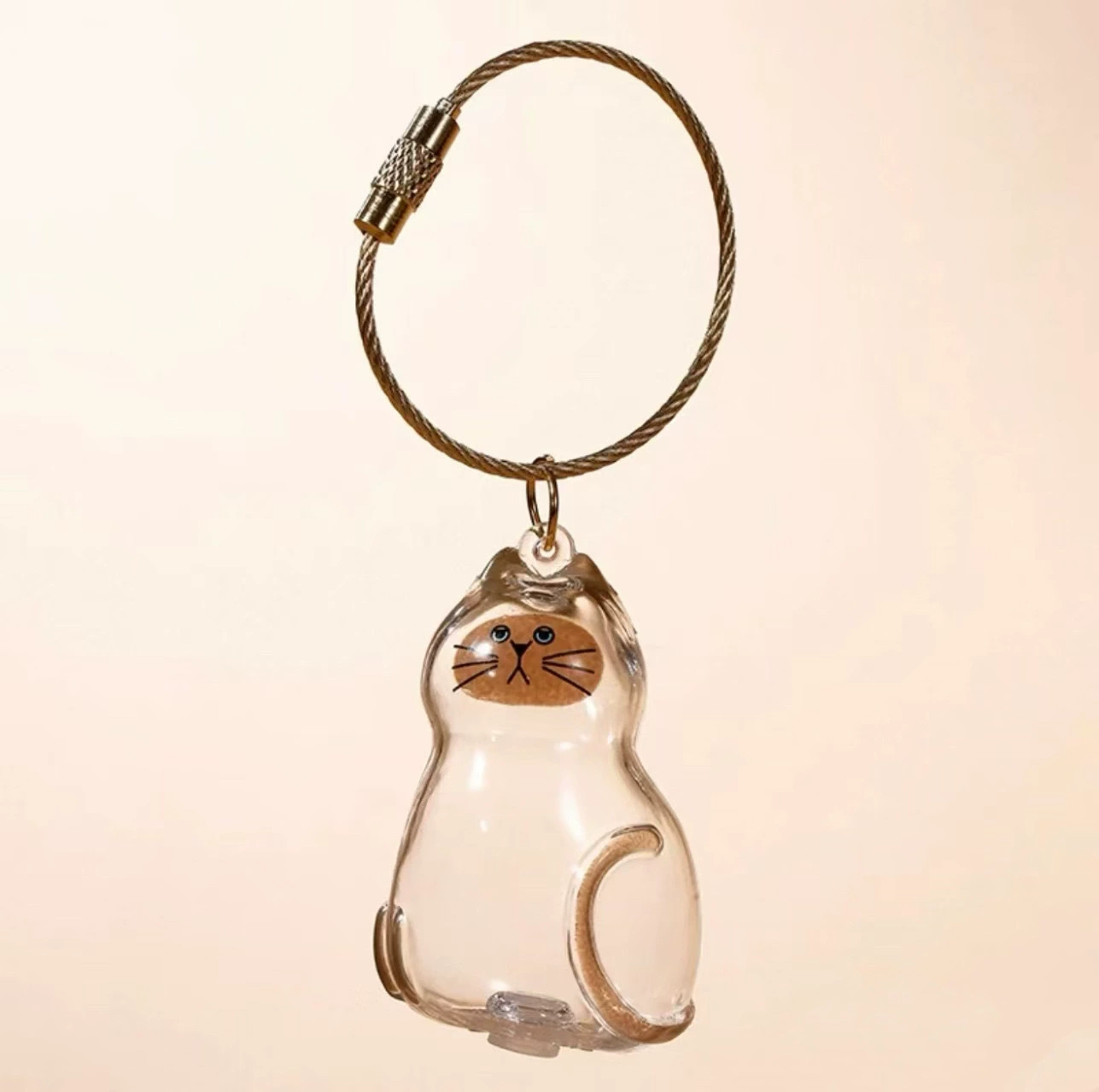 Transparent storage box, commemorative capsule, keychain