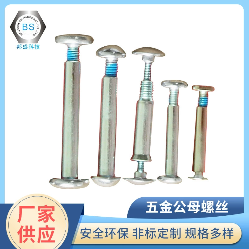 Производители производят все виды материала головки типа стопорные винты женские винты аппаратные мужские и женские винты