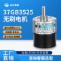 定制无刷调速低速电动机