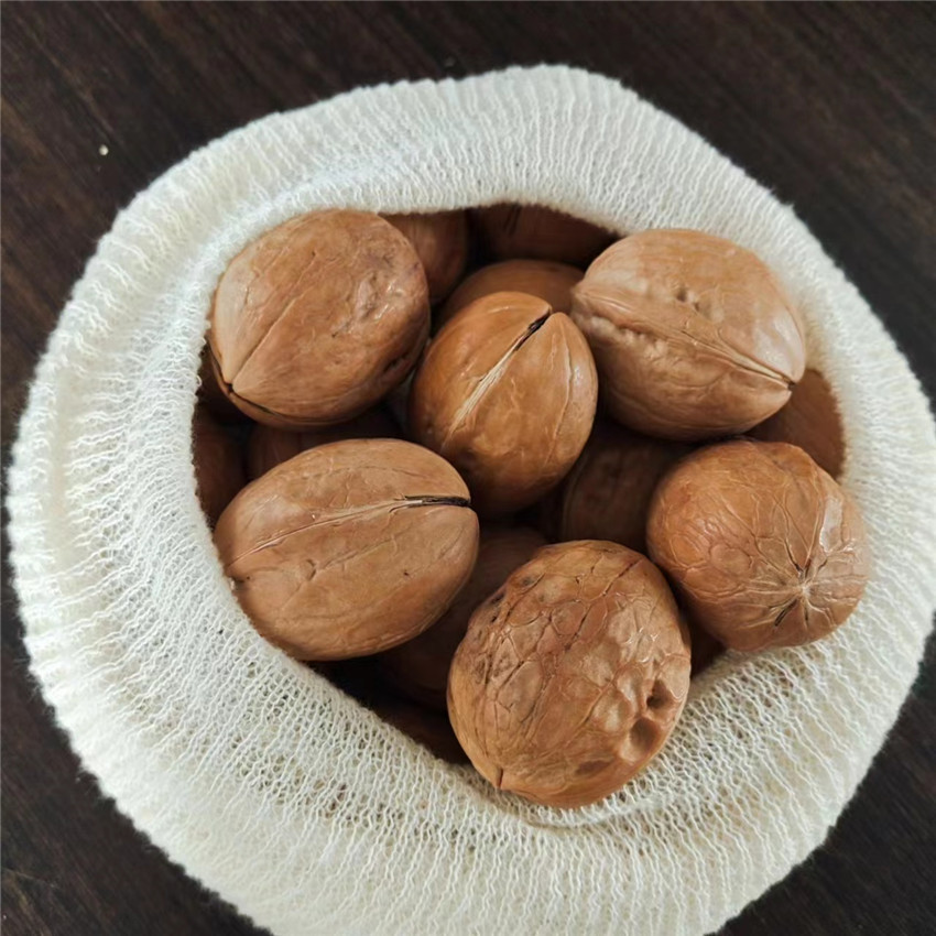 微信图片_20230912140114