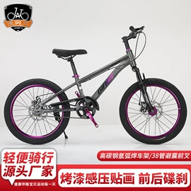 童自行车;自行车