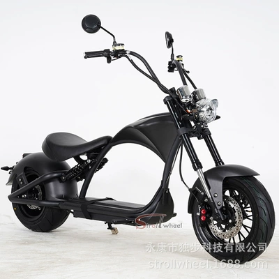 Factory Direct Shipping M1P Harley Electric Motorcycle for City Riding 2000W 20Ah Balance Scooter Custom Processing