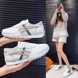 �nʽ�������ը�ְ���Ь2026�����¿�W��͸�����m�ٴ��\�����eЬ