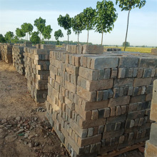 Sҹfʯu u 䁵ϹŴu Ƭ 䁵u