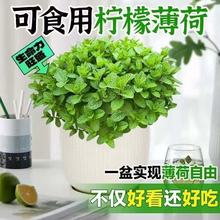 ��ʳ�Ù��ʱ��������ݲ��ļ�������B�׻���~���̨��þGֲ��