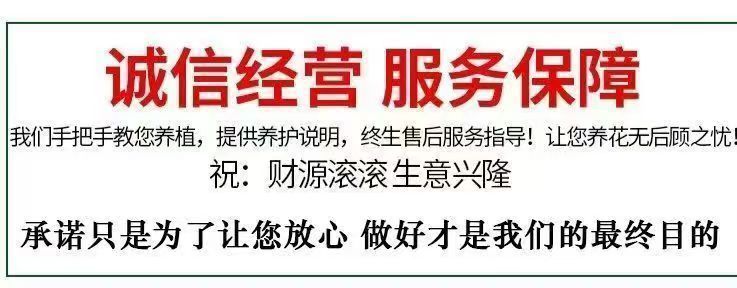 1133754a-79f3-4b36-8c6f-e8ac7f40a474.jpe