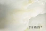 新款2023pvc黄花吸塑膜