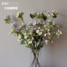 �L֦С������ �o�M�Ľ��򻨼Ҿӻ�c�zӰ���߷��滨