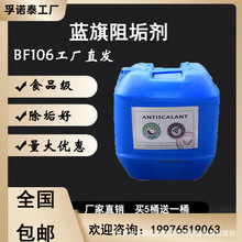藍旗阻垢劑反滲透阻垢劑水處理阻垢劑凈水設備專用BFP0100原BF106