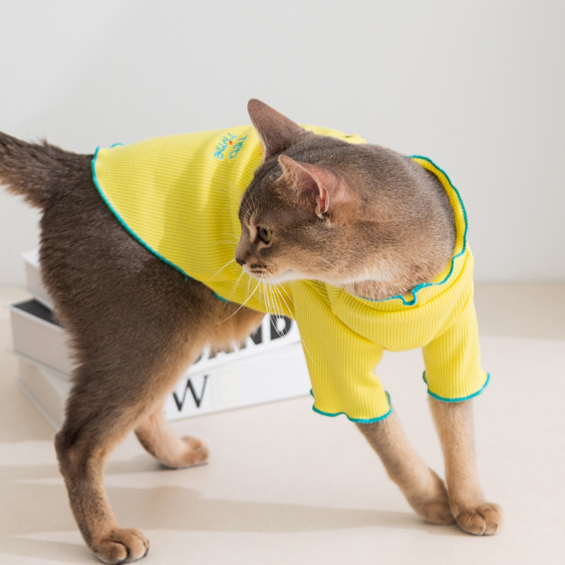 Primavera y verano gatos sin pelo gatos elásticos dos patas ocio té de la tarde ropa de casa ropa de aire acondicionado perros ropa de mascota gato