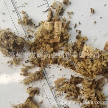 批发加工出口优质植物原药材代用茶原料毛蕊花牛耳草大毛叶一柱香