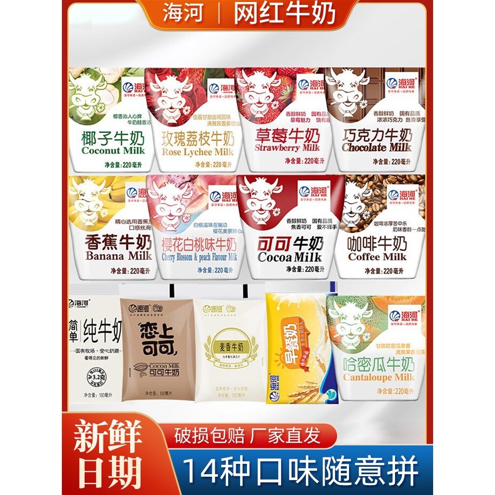 海河牛奶天津营养早餐学生草莓咖啡巧克力可可经典儿童风味奶整箱