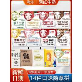 海河牛奶天津营养早餐学生草莓咖啡巧克力可可经典儿童风味奶整箱