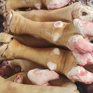 ���rţ����ţ�_��ֻţ������ţ����ֻ����F��ţ�_ɢ�B�Sţ�r����