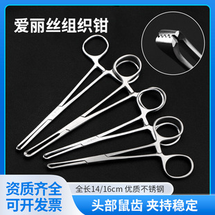 �t�ýM���Q���������z�Q�M�y�A�֋D�ƌm�����X�Q����������g��е