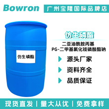 Դ^S EFA   PG-׻Ȼ@c