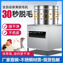 ����Óë�C���Ú��u���Z��ë�CС��ȫ�Ԅ���ë�C���P�ȥë�C