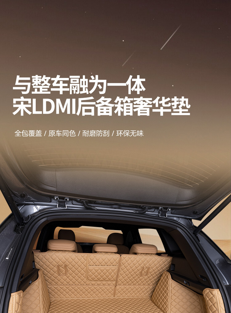 Suitable for Song Ldmi Trunk Mat 25 Models Byd Decorative Supplies Modification Accessories Fully Surrounded Foot Mat Trunk Mat