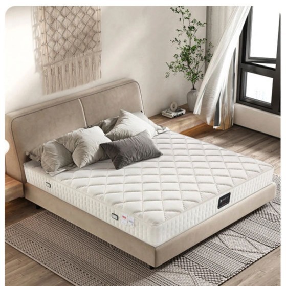 Memory Foam Spring Latex Mattress Kidsren's Student Hard Mattress Simmons Dormitory Hotel Cross-Border Mattress Hard Mattress