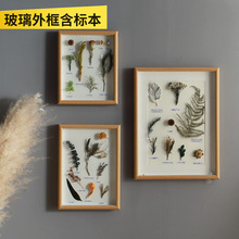 5OH3立体相框含玻璃手作干花枯叶植物标本装饰画挂画复古花卉标本