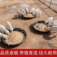 �¿�С����ϲ۸����a�ϲ�С����_���ϲ۴���Բ����Ӻ�ʳ��ˮ��