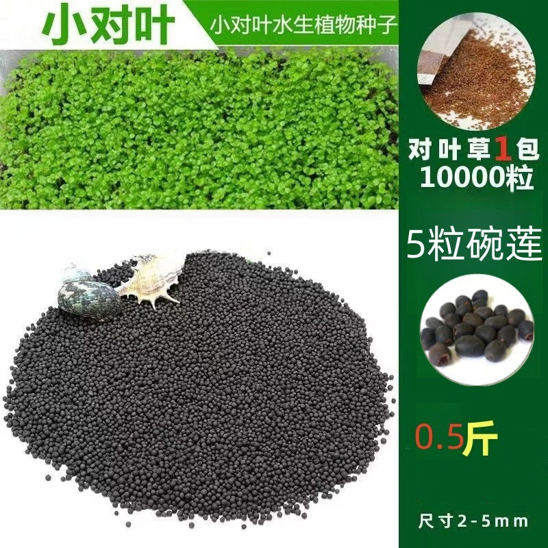 수초 진흙 0.25kg - 작은 쌍잎 10,000개 + 그릇 연꽃 5개