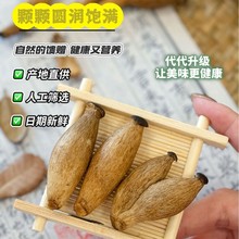 ¹�׹���Ƭ����¶�㹽����b������Óˮ�߲˸ɼ�ʳ��ʳ�������l