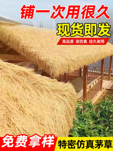 Artificial Roof Grass Brand Decorative Turf Sticky Dry Grass False Lawn Plastic Scenic Spot